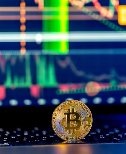 Voltara Flex Trading Informationen